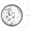 Okeāna bungas XDrum-Ocean (35 cm)