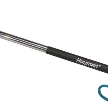 Basbungas vāle Hayman BDM-2 Basbungas vāle Hayman BDM-2