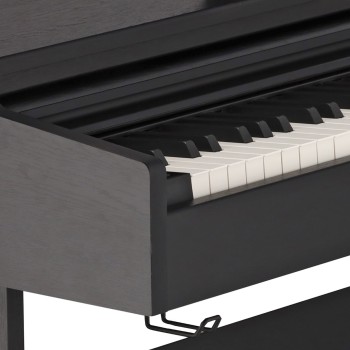 Digitālās klavieres Gewa DP-510-BK