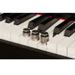 Digitālās klavieres Nux NCK-330-WH Digitālās klavieres Nux NCK-330-WH