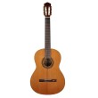 Klasiskā ģitāra Salvador Cortez CC-15 Klasiskā ģitāra Salvador Cortez CC-15