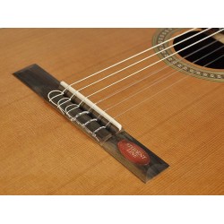 Klasiskā ģitāra Salvador Cortez CC-10 Klasiskā ģitāra Salvador Cortez CC-10