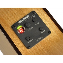 Electro Acoustic Classical Guitars