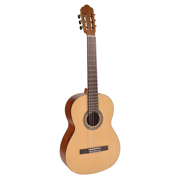 Salvador Classic guitar CS-244