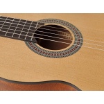 Salvador Classic guitar CS-244