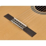 Salvador Classic guitar CS-244