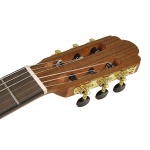 Salvador Classic guitar CS-244