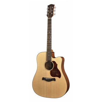Elektro-akustiskā ģitāra Richwood D-20-CE