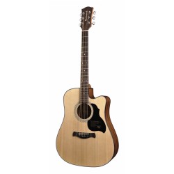 Richwood Acoustic guitar D-40-CE