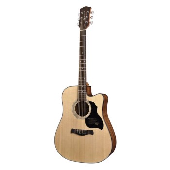 Elektro-akustiskā ģitāra Richwood D-40-CE