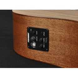 Elektro-akustiskā ģitāra Richwood D-50-CE Elektro-akustiskā ģitāra Richwood D-50-CE