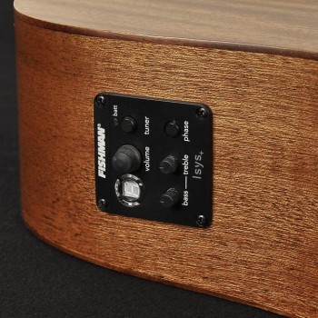 Elektro-akustiskā ģitāra Richwood D-50-CE
