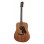 Akustiskā ģitāra Richwood D-50