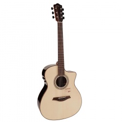 Electro Acoustic Guitar Mayson M5/SCE