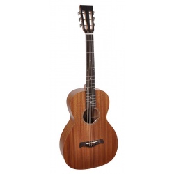 Ricwood Acoustic guitar P-50