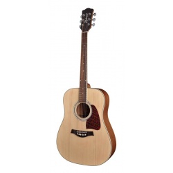 Acoustic Guitar Richwood RD-16