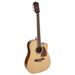 Richwood Acoustic guitar RD-17-CE