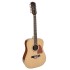 Richwood 12-string acoustic guitar RD-17-12