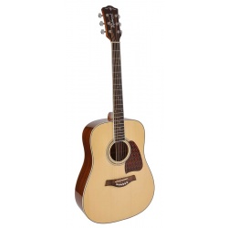 Richwood Acoustic Guitar RD-17