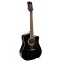 Elektro-akustiskā ģitāra Richwood RD-12-CEBK