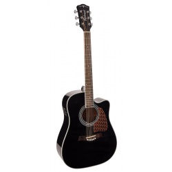 Richwood Acoustic guitar RD-17-CEBK