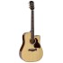 Elektro-akustiskā ģitāra Richwood RD-27-CE Elektro-akustiskā ģitāra Richwood RD-27-CE