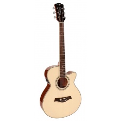 Richwood Acoustic guitar RG-17-CE
