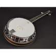 5-stīgu bandžo Richwood RMB-605 5-stīgu bandžo Richwood RMB-605