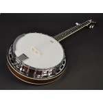 Richwood folk banjo 5-string RSB-605