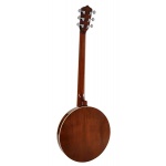 Richwood guitar banjo 6-string RMB-906