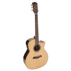 Richwood Acoustic guitar SWG-150-CE