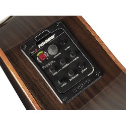 Elektro-akustiskā ģitāra Richwood SWG-150-CE Elektro-akustiskā ģitāra Richwood SWG-150-CE