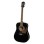 Akustiskā ģitāra Richwood RD-16-BK