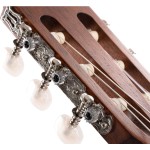 Cort Classical guitar AC100DX-OP