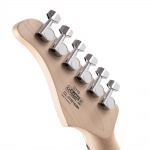 Cort Electric guitar G110 OPBK