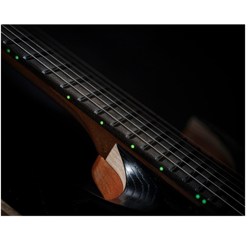 Elektriskā ģitāra Cort KX700 Evertune
