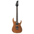 Elektriskā ģitāra Ibanez RG421-MOL