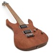 Elektriskā ģitāra Ibanez RG421-MOL