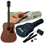 Ibanez Acoustic Guitar Kit V54NJP-OPN