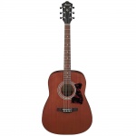 Ibanez Acoustic Guitar Kit V54NJP-OPN
