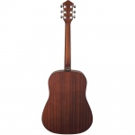 Ibanez Acoustic Guitar Kit V54NJP-OPN