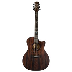 Randon Acoustic Guitar with electronics RGI-14VT-CE