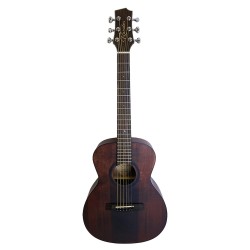 Randon Acoustic Guitar RGI-14mini-VT