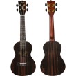 Koncerta ukulele Flight DUC-460-AMARA