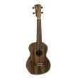 Koncerta ukulele Korala UKC-910