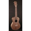 Koncerta ukulele Korala UKC-910