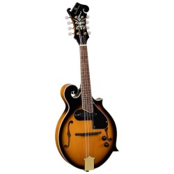 Bluegrass Mandolin BMA-100-ES