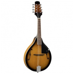 Bluegrass Mandolin BMA-50-VS