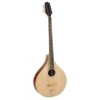 Bouzouki Richwood RIBZ-40