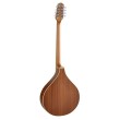 Bouzouki Richwood RIBZ-40